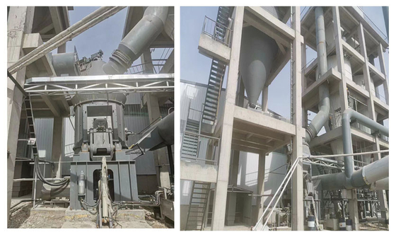 Amoladora de pulido Mill del carbón de la planta del cemento vertical del OEM