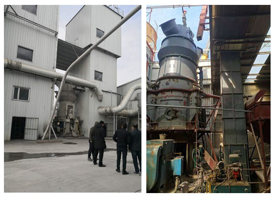 El cemento crudo del molino del rodillo vertical de la industria para el calcio de la bauxita carbonata el machacamiento
